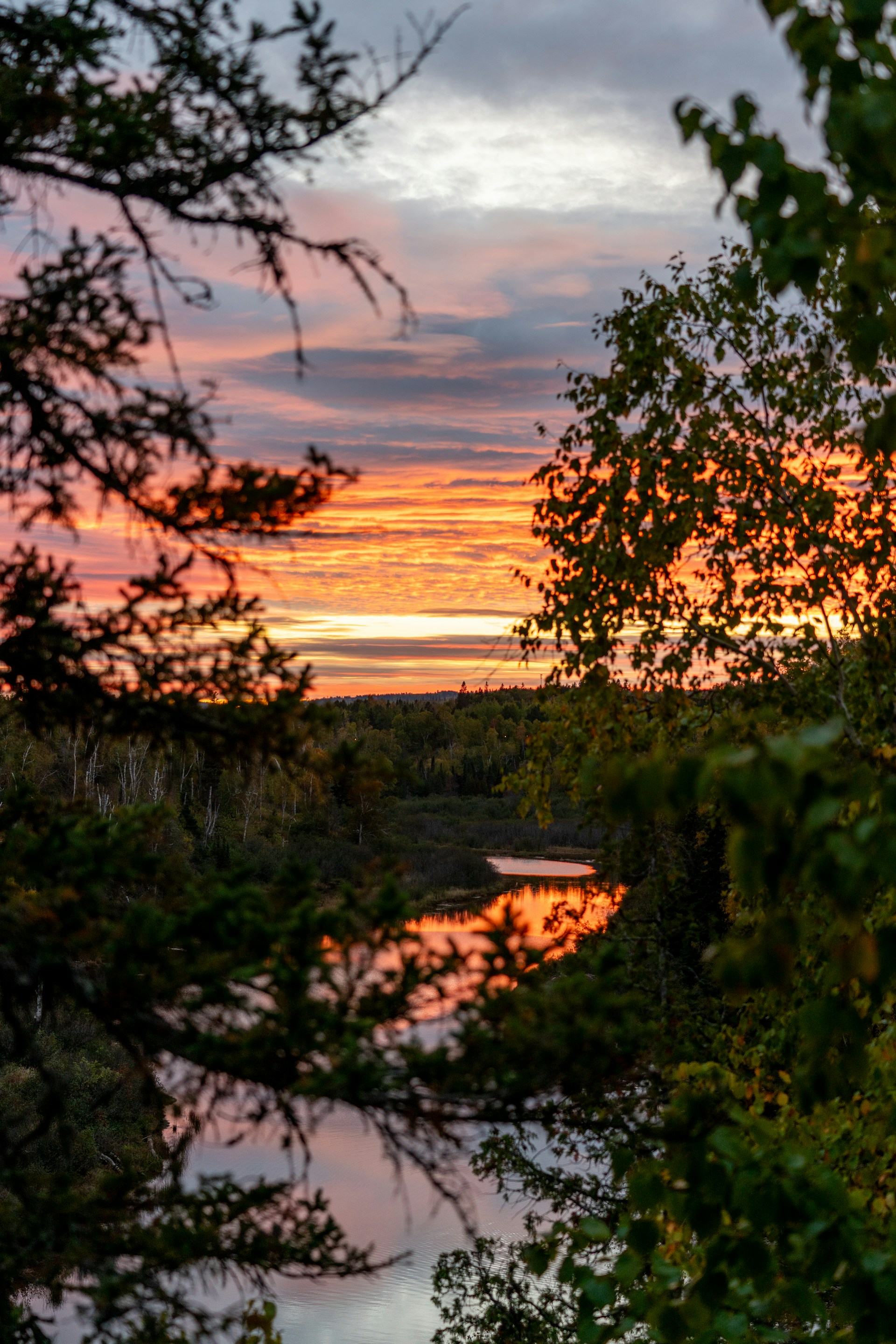 woman wearing yellow long-sleeved dress under white clouds and blue sky during daytime