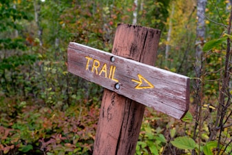 How to Practice Leave No Trace While Camping