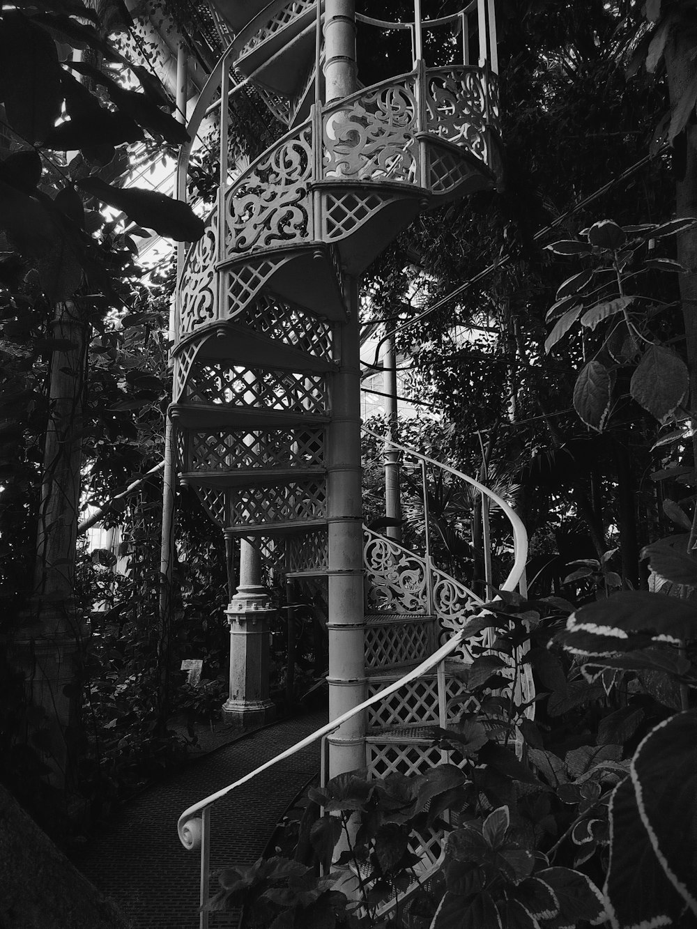 a spiral staircase in the middle of a forest