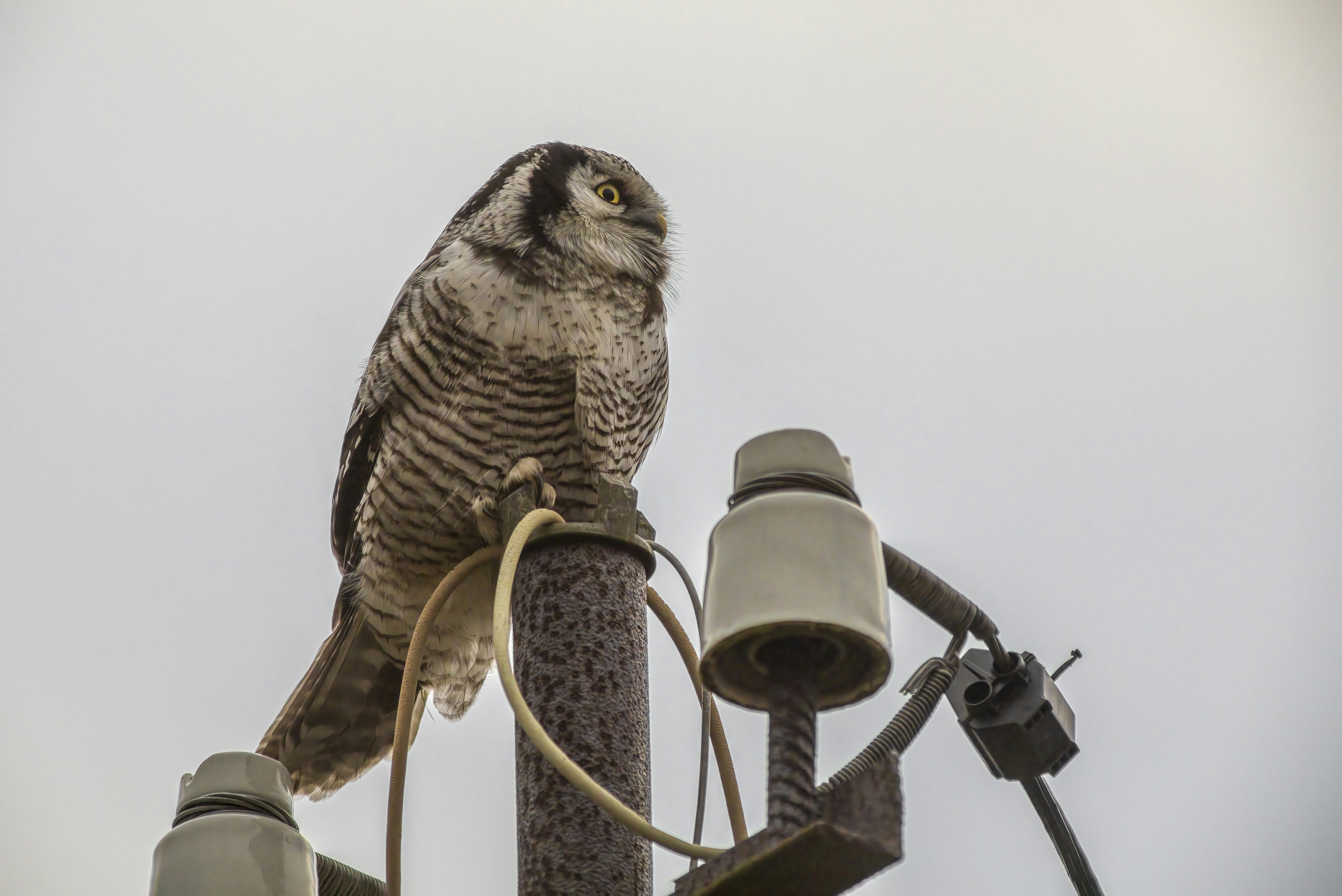 Photo by erik_karits