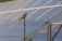An owl perches atop a metal fence post in front of a large array of solar panels. The scene is well lit by sunlight, highlighting the intricate pattern on the owl's feathers and the reflective surface of the solar panels.