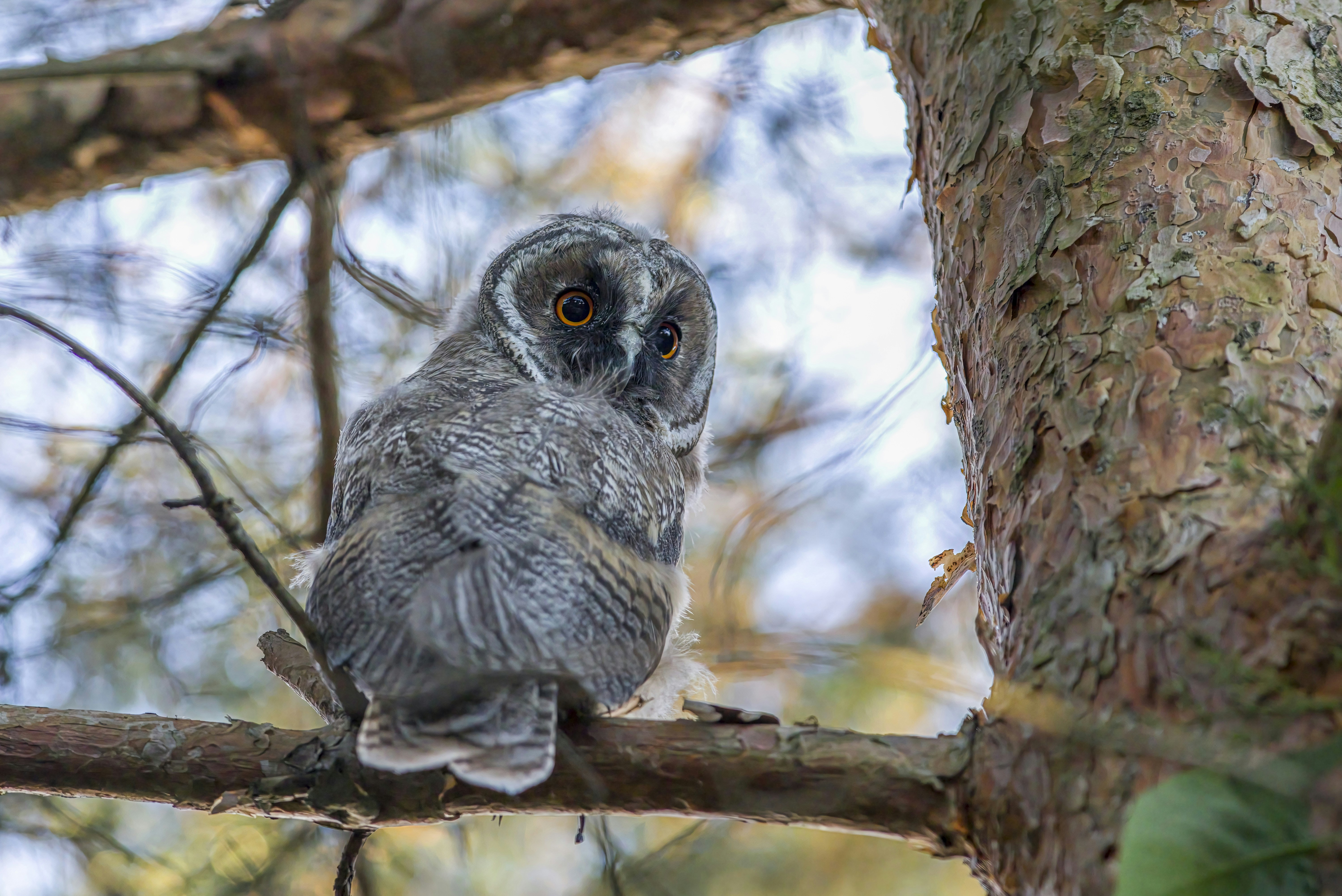 Photo by erik_karits