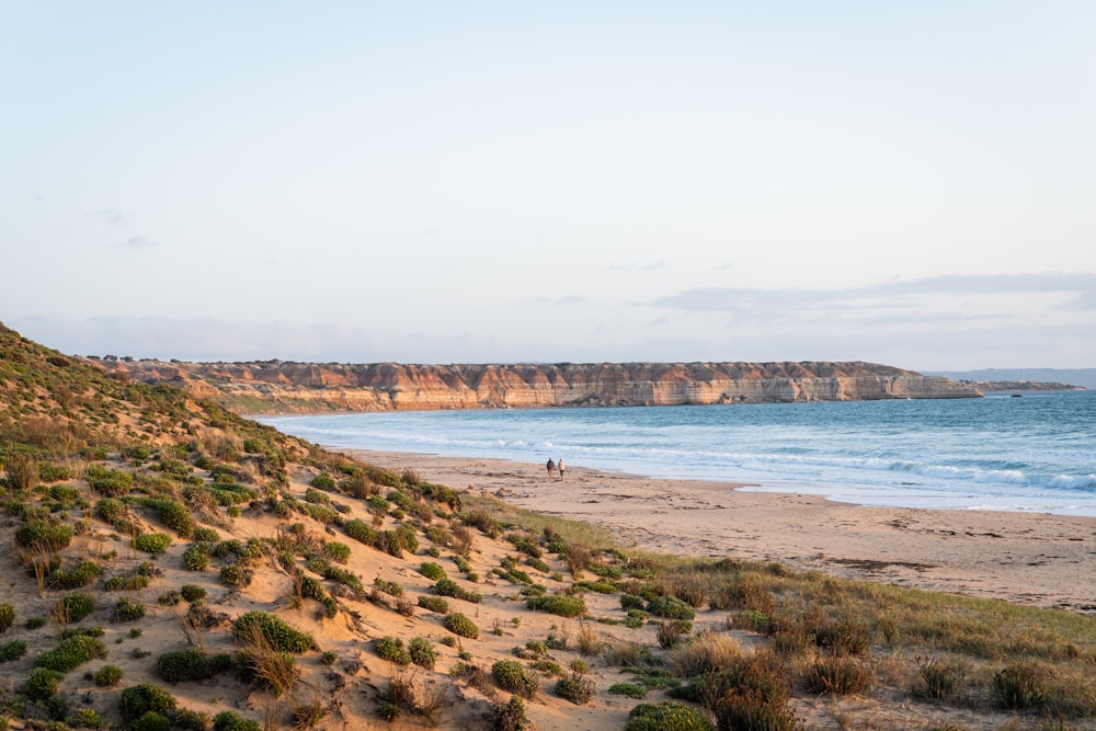 a sandy beach next to a body of water