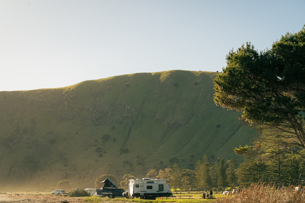 a grassy field with a mountain in the background