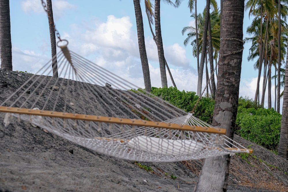 a hammock on a beach with palm trees in the background