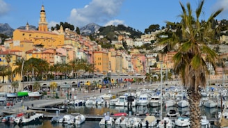 a marina filled with lots of boats and palm trees