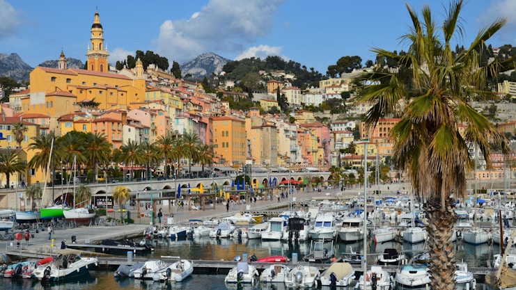 a marina filled with lots of boats and palm trees