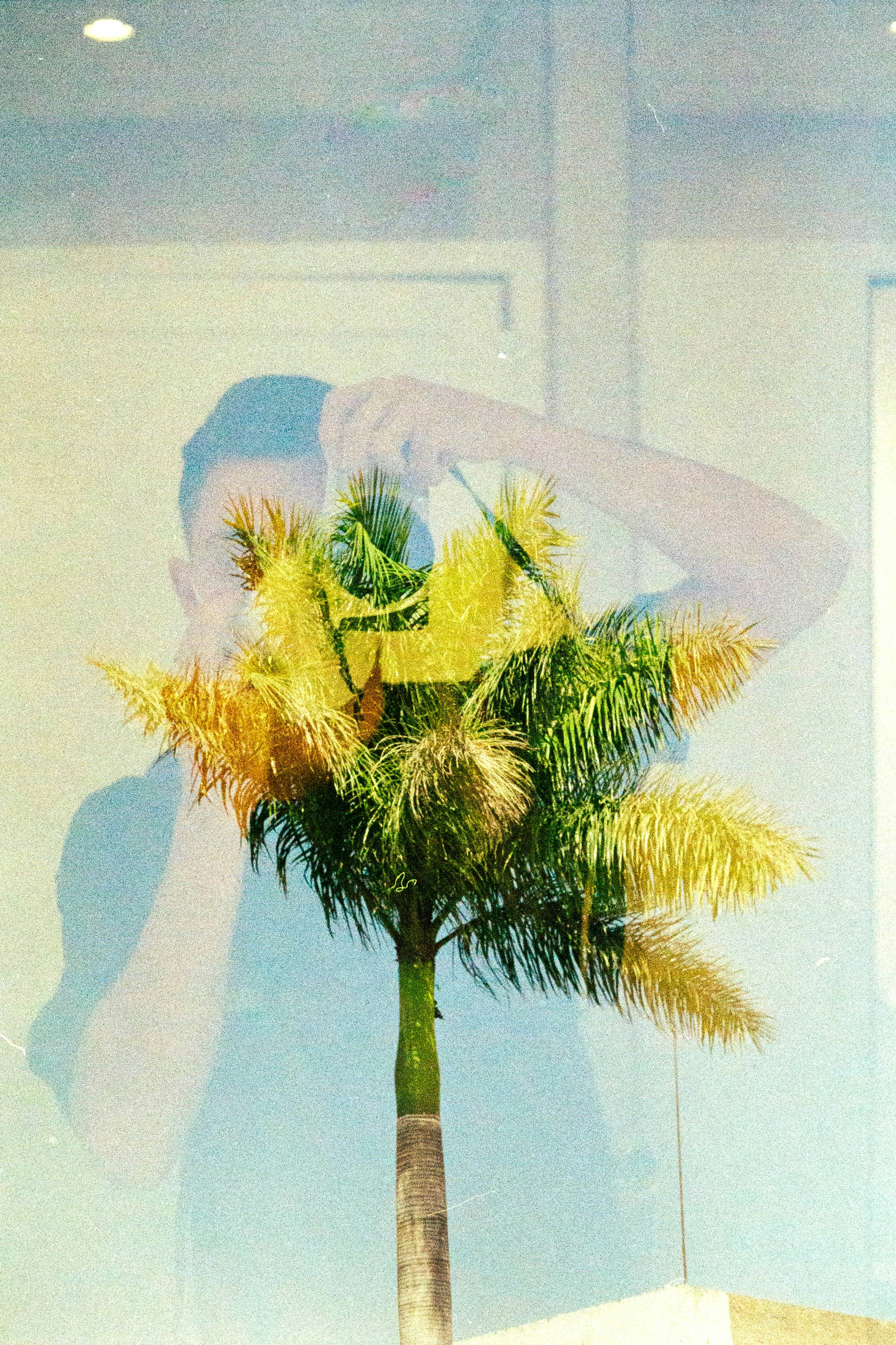 Photo by jonathecreator