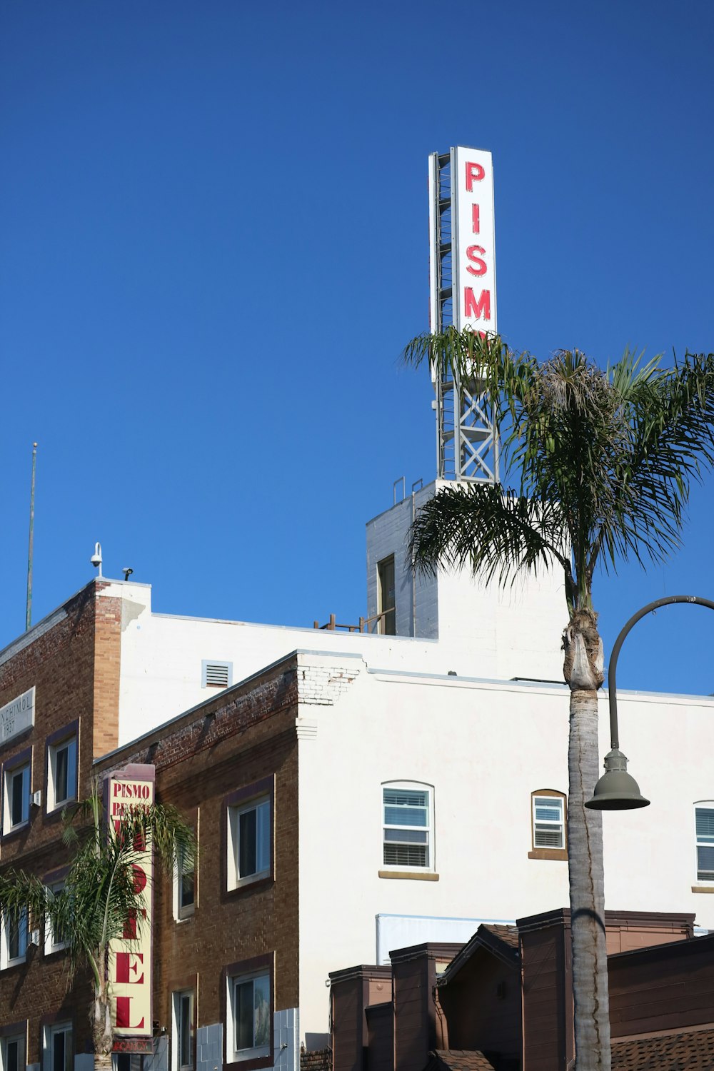 a building with a palm tree in front of it