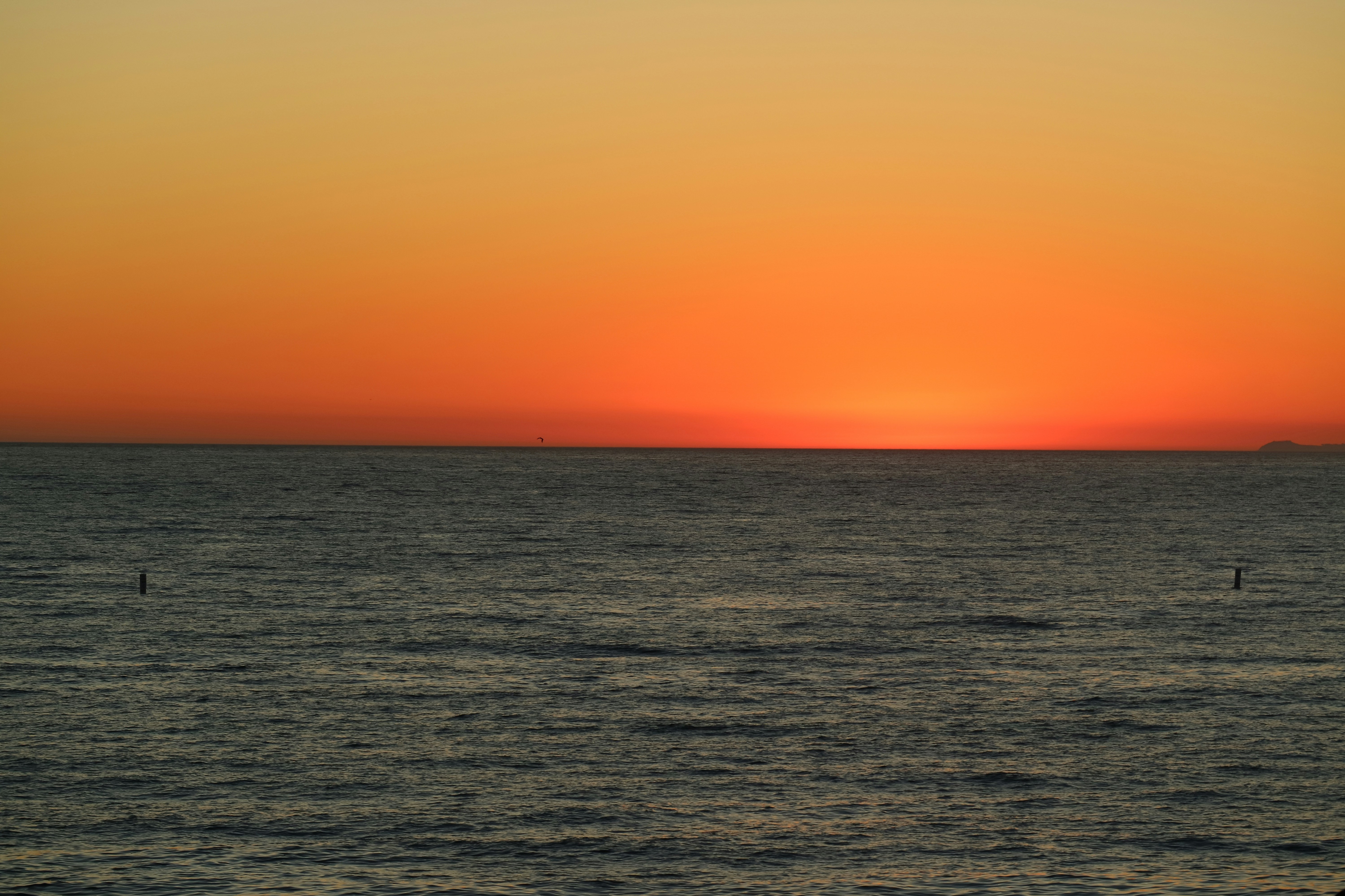 Photo by vincentyuan87