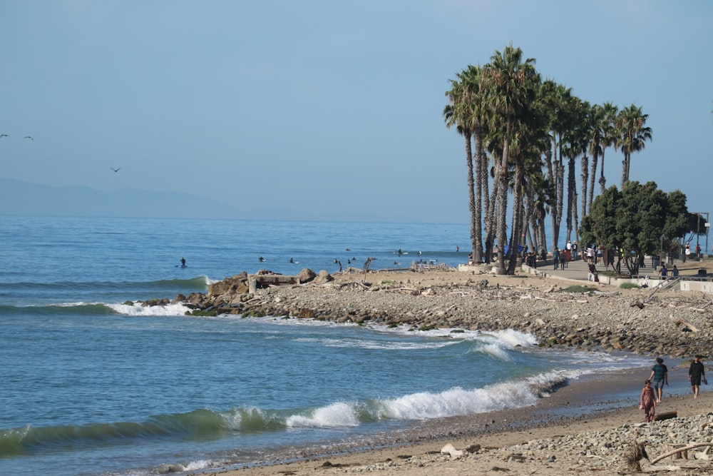 a group of people walking along a beach next to the ocean