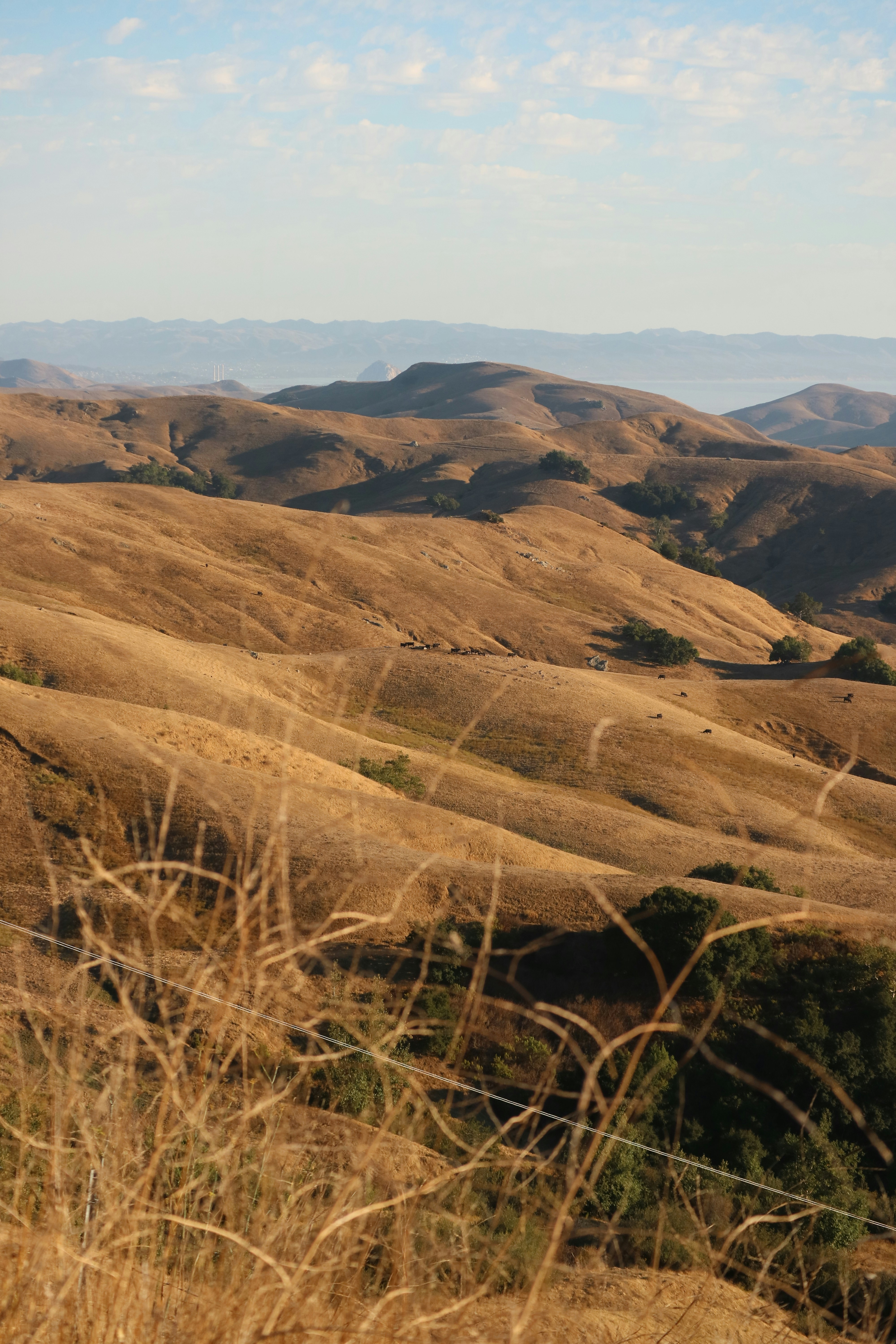 Photo by vincentyuan87