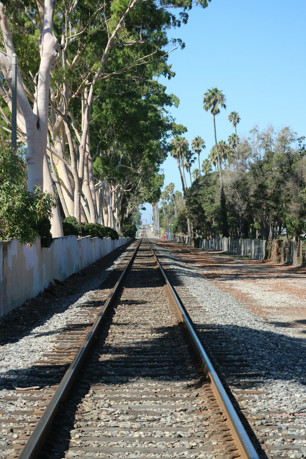 a train track with trees on both sides of it