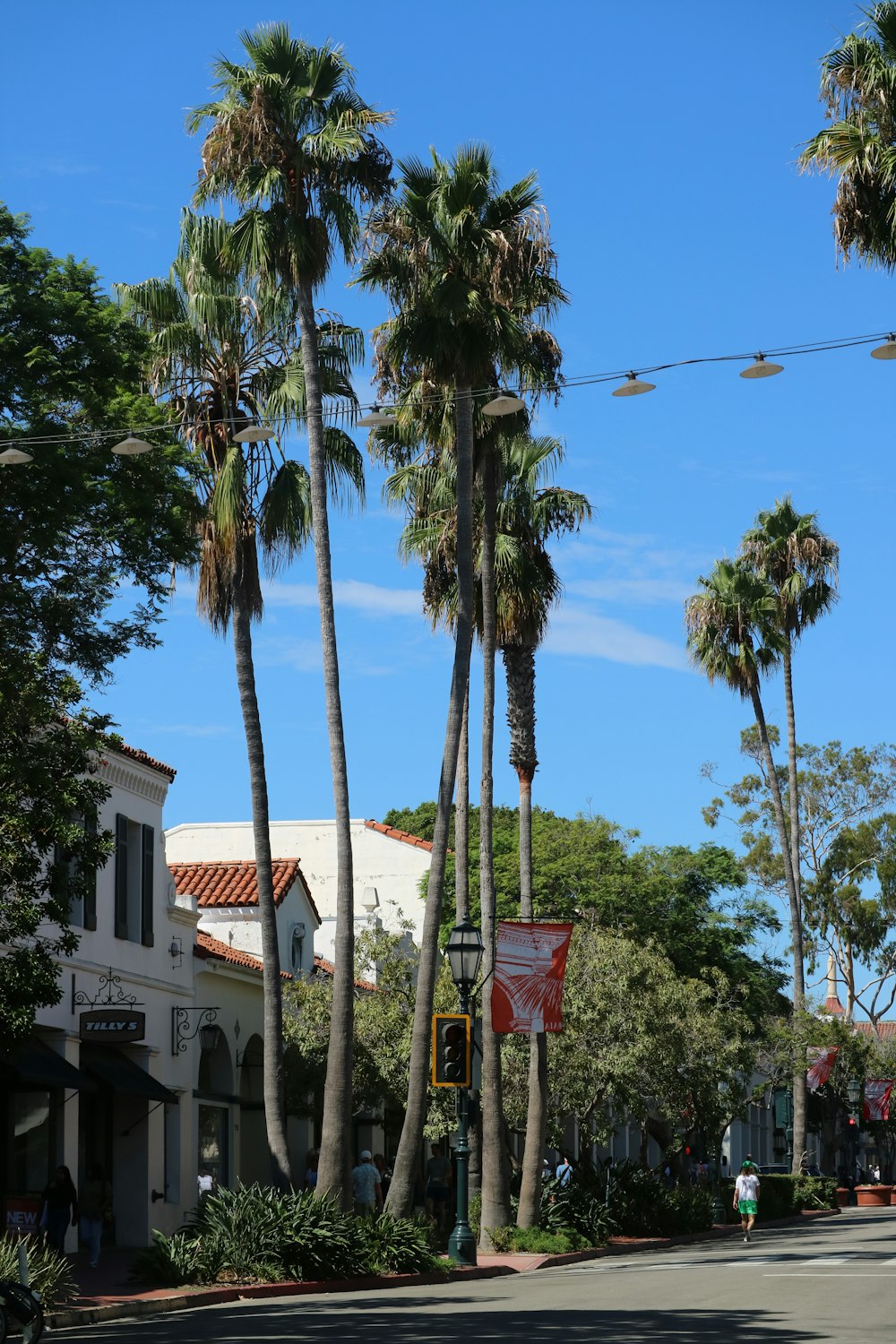 a street with palm trees and a basketball hoop