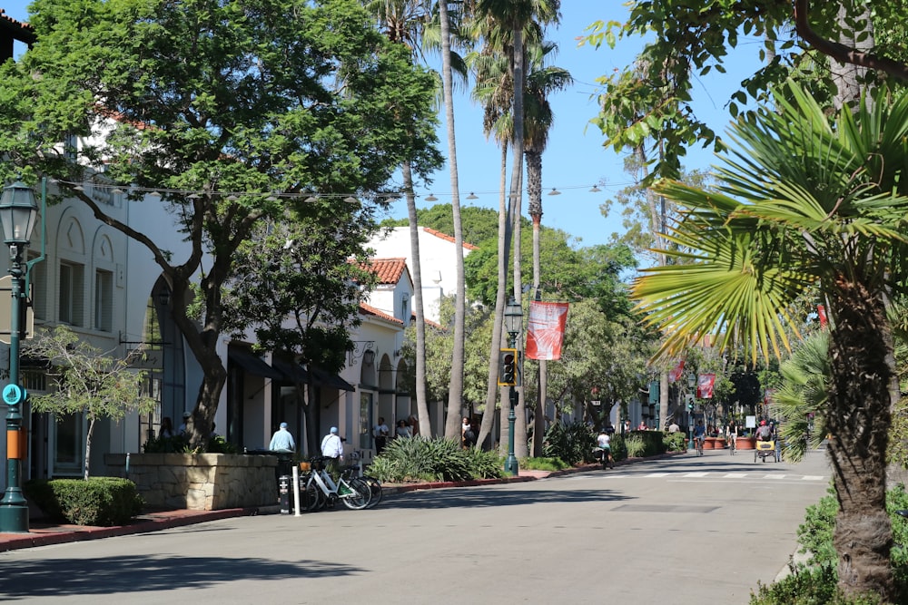 a street lined with palm trees and buildings