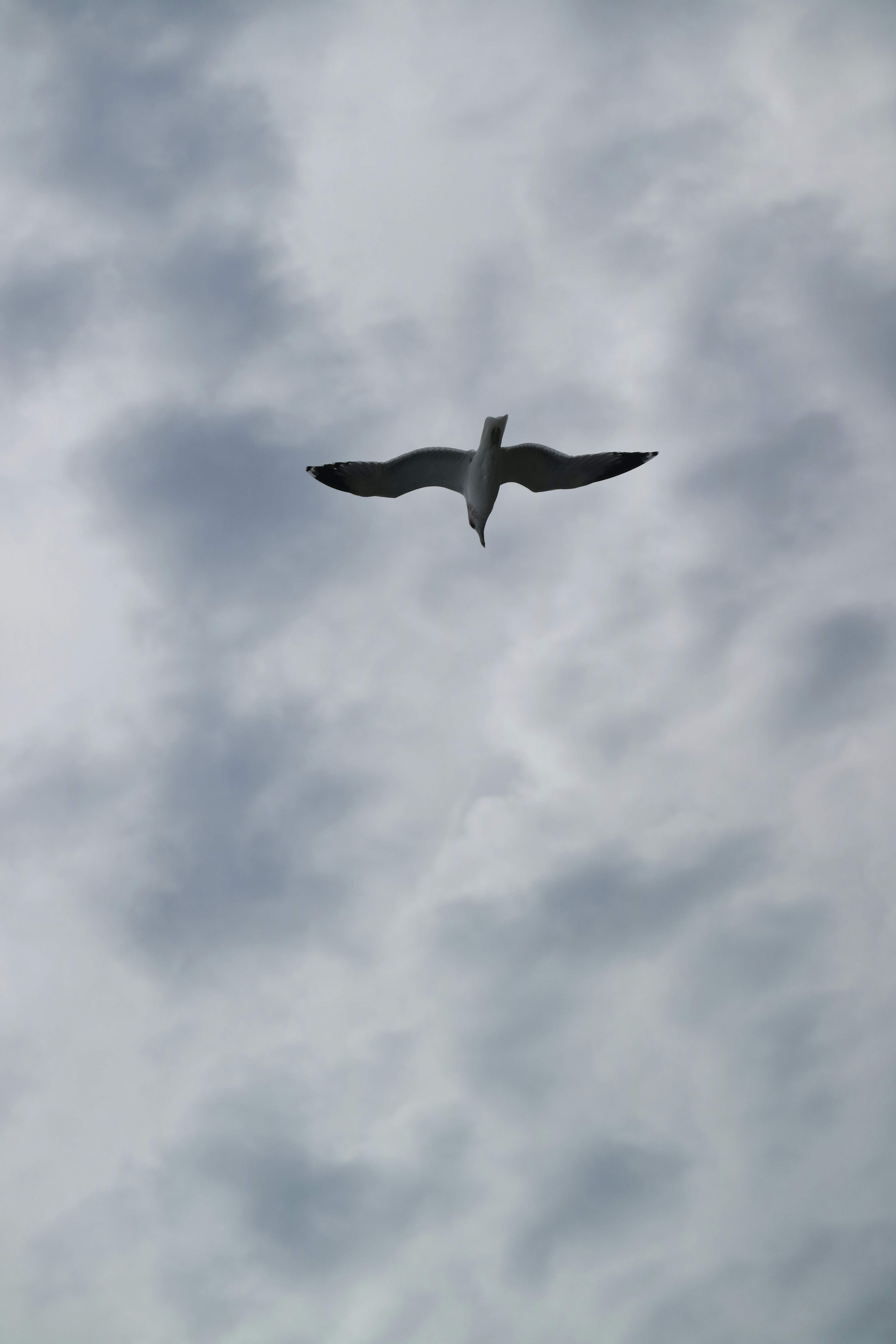 Photo by vincentyuan87