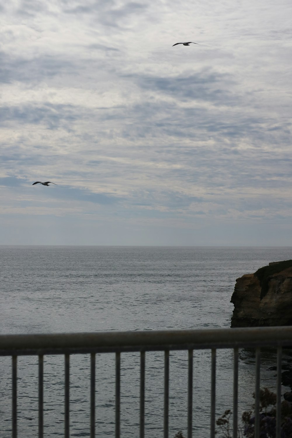 a couple of birds flying over a body of water