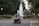 A golf cart carries two people toward a large, elegantly arched fountain, surrounded by manicured hedges and vibrant flower beds. The pathway and nearby streetlamps create a serene ambiance under a canopy of lush green trees.