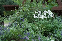 A lush green garden filled with various plants and flowers, including purple blossoms. An ornamental wooden structure is partially visible in the background. A Korean sign is displayed among the foliage.