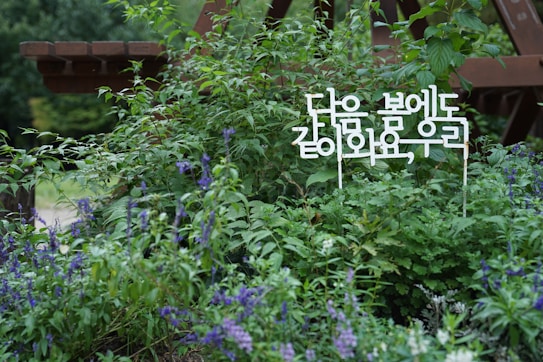 A lush green garden filled with various plants and flowers, including purple blossoms. An ornamental wooden structure is partially visible in the background. A Korean sign is displayed among the foliage.