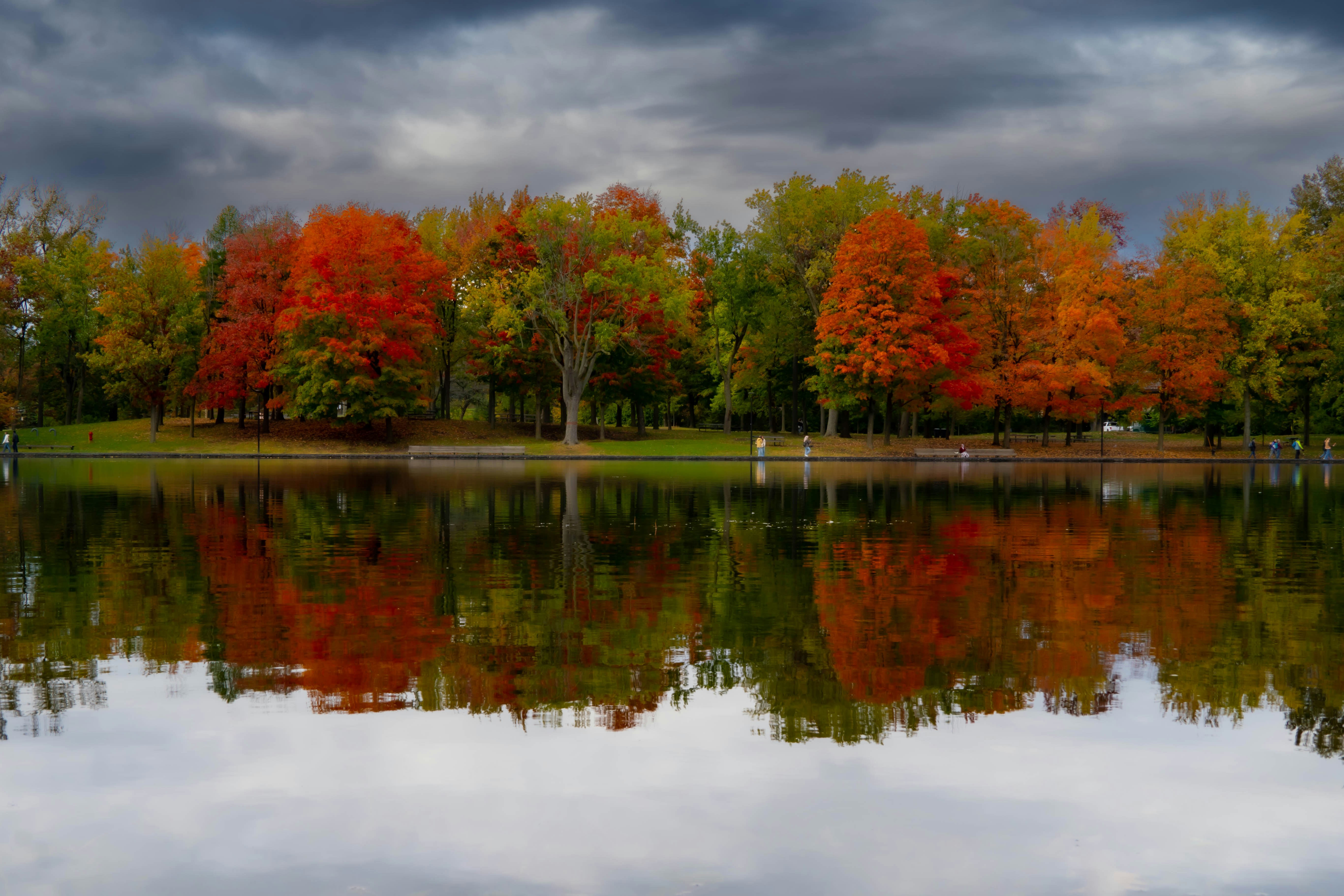 A photo of a river in foreground with trees further back, reflected in the river. The trees are turning from green to orange and red.