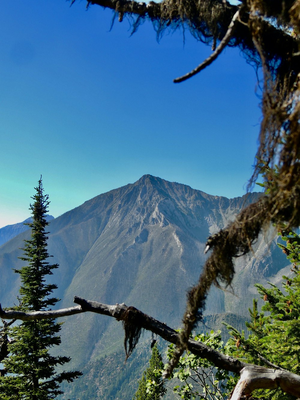 a view of a mountain range from a distance