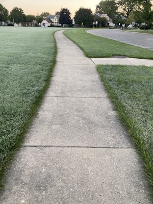 A concrete sidewalk winds through a grassy area, bordered by neatly trimmed grass. Residential houses with manicured lawns are visible in the background, along a quiet street. Tall trees frame the scene, and the early morning light casts a soft glow over the landscape.