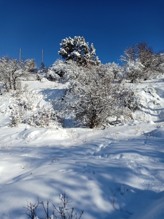 A serene winter landscape with freshly cleared snow.