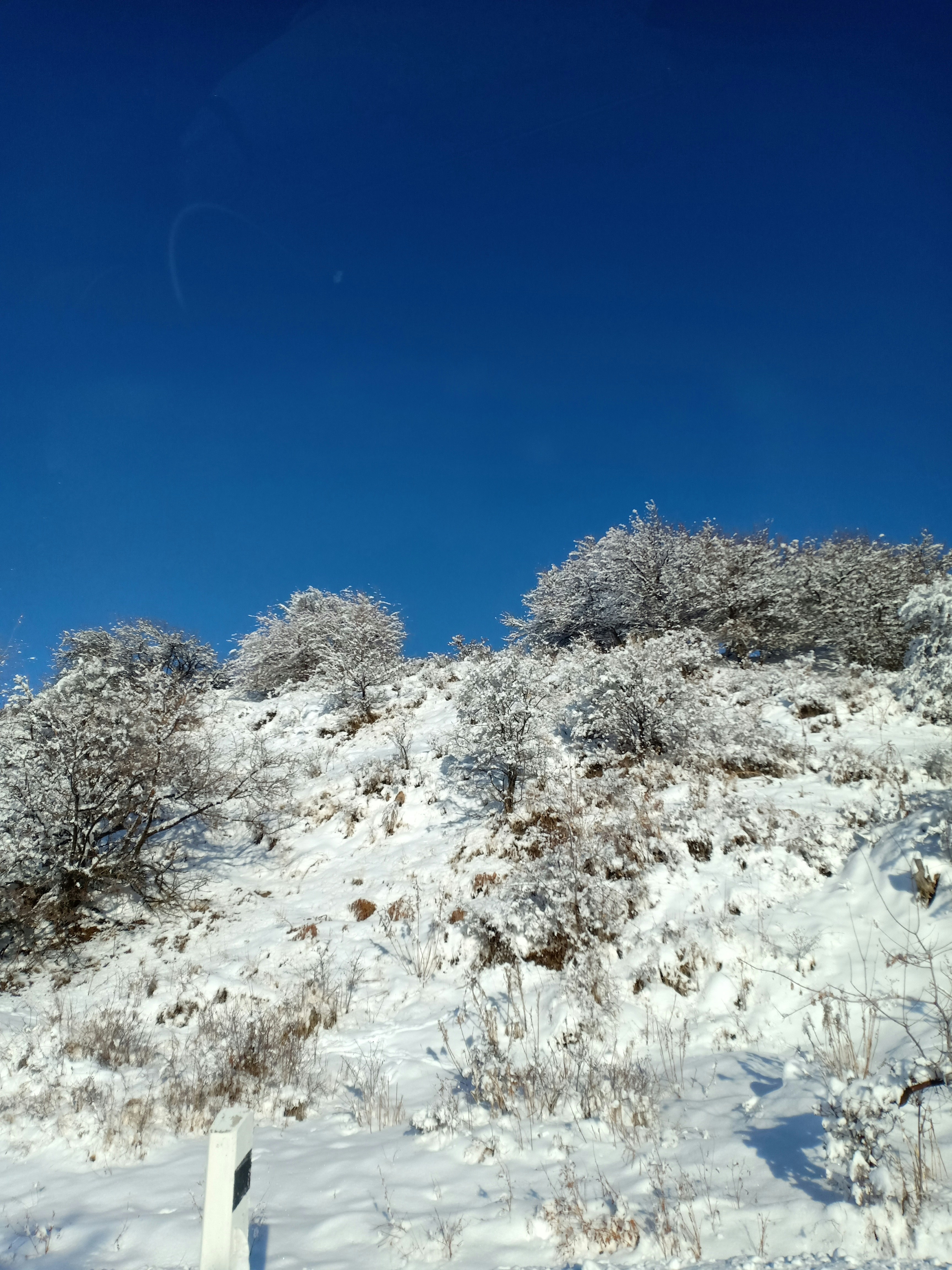 Snow after rain post image