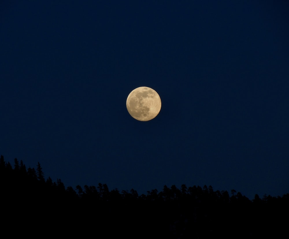 a full moon is seen in the night sky