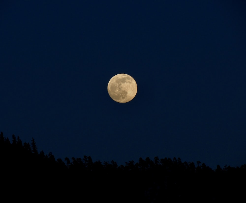 uma lua cheia é vista no céu noturno