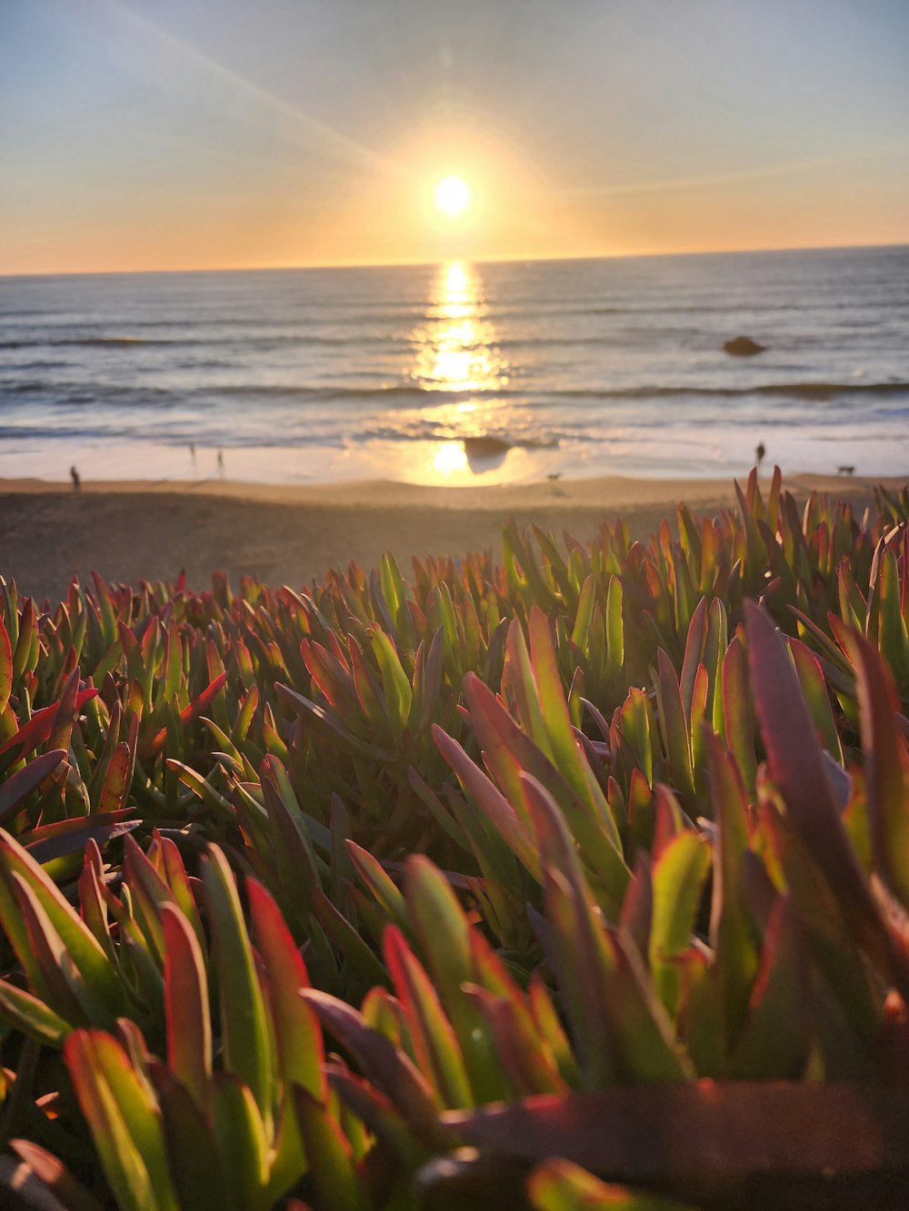 the sun is setting over the ocean and a beach