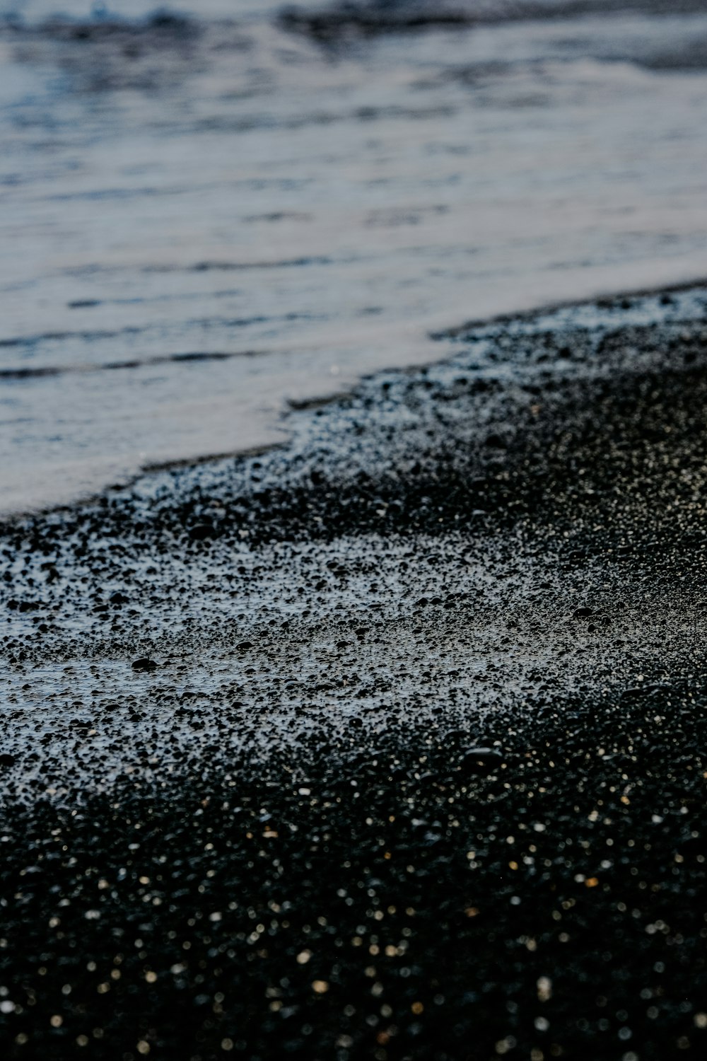 a bird standing on a beach next to the ocean