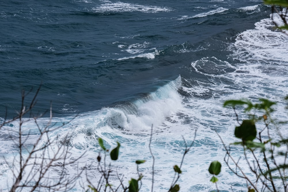 a view of the ocean from the top of a hill