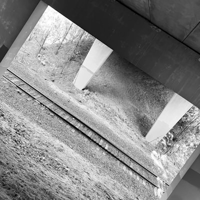 A black-and-white photograph capturing a railway track passing under a bridge. The scene includes gravel surrounding the tracks and a backdrop of trees on a slope. Two concrete bridge supports are visible, creating a geometric frame for the natural environment.