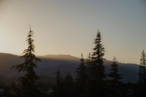 Evening lights glowing softly over the inventory lot at Foothill Forge as dusk settles in.