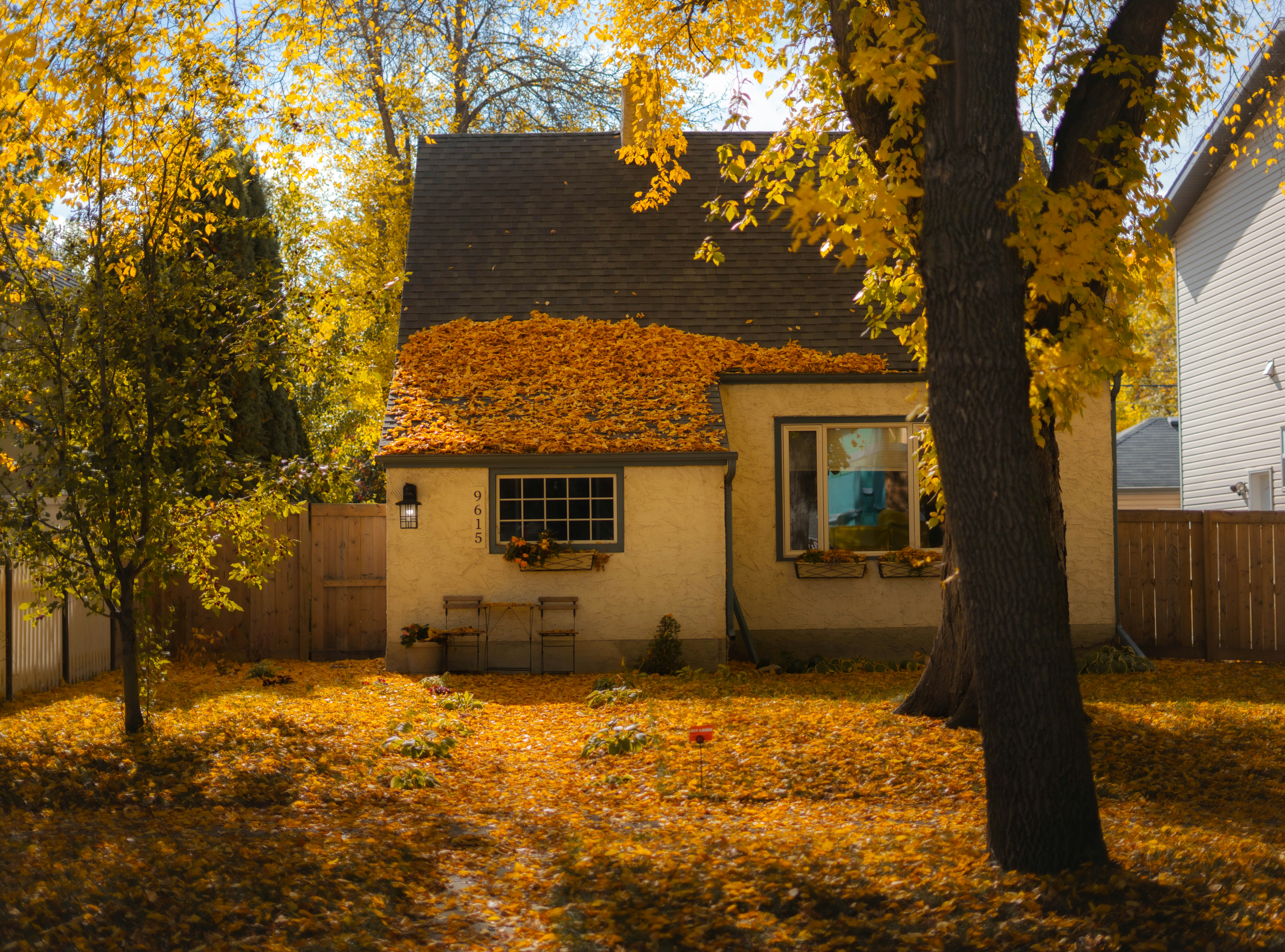 Cambio di stagione: come preparare la casa all’autunno e ridurre consumi di luce e gas