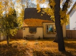a house with yellow leaves on the ground