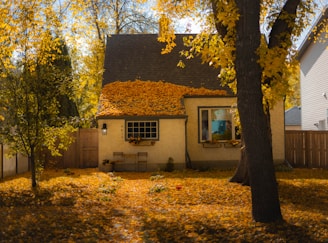 a house with yellow leaves on the ground
