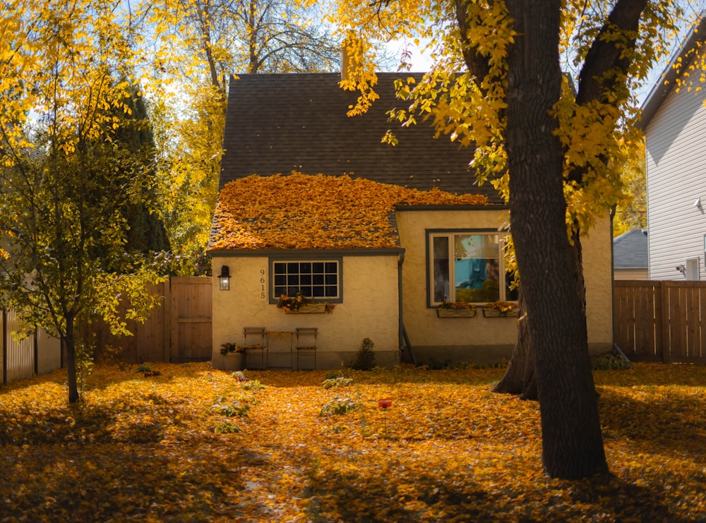 a house with yellow leaves on the ground