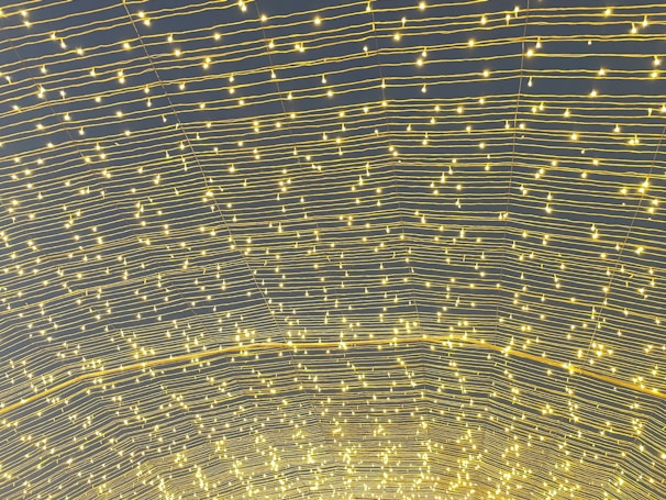 Rows of decorative LED lights illuminating a cozy retail display.