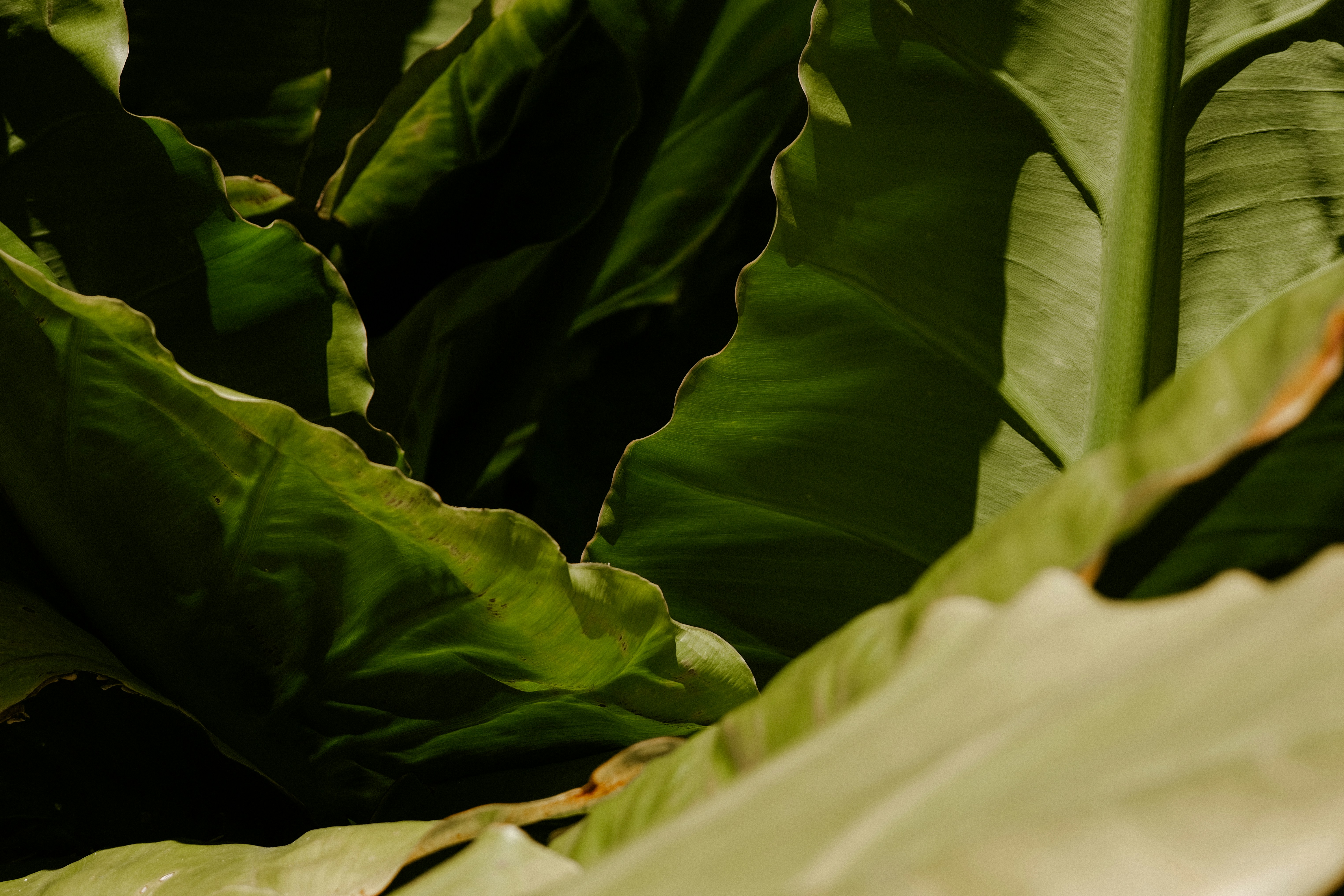 Photo by valeriiamiller