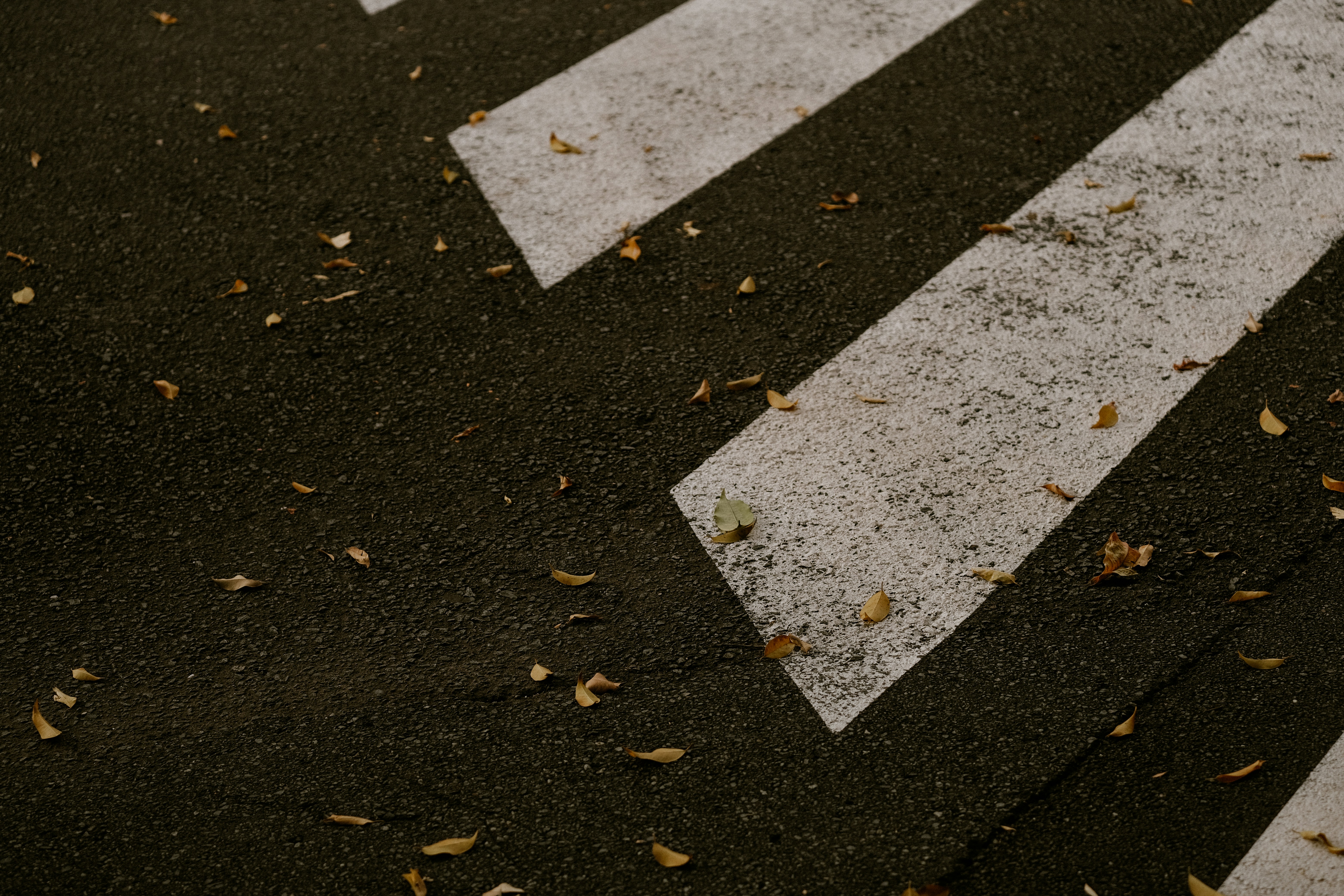 Photo by valeriiamiller