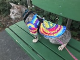 A cat wearing a colorful tie-dye shirt and a harness, sitting on a green park bench. The cat is facing left and appears to be observing its surroundings attentively. The background features some foliage and flowers, contributing to a natural environment.