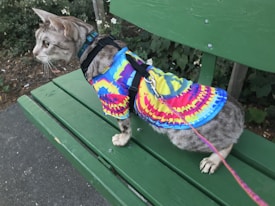 A cat wearing a colorful tie-dye shirt and a harness, sitting on a green park bench. The cat is facing left and appears to be observing its surroundings attentively. The background features some foliage and flowers, contributing to a natural environment.