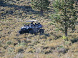 a buggy driving through a grassy field next to a tree