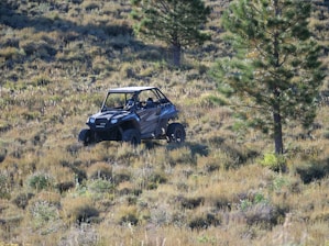 a buggy driving through a grassy field next to a tree