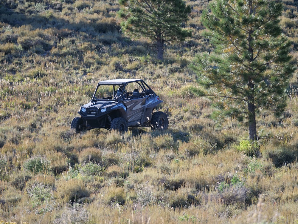 a buggy driving through a grassy field next to a tree