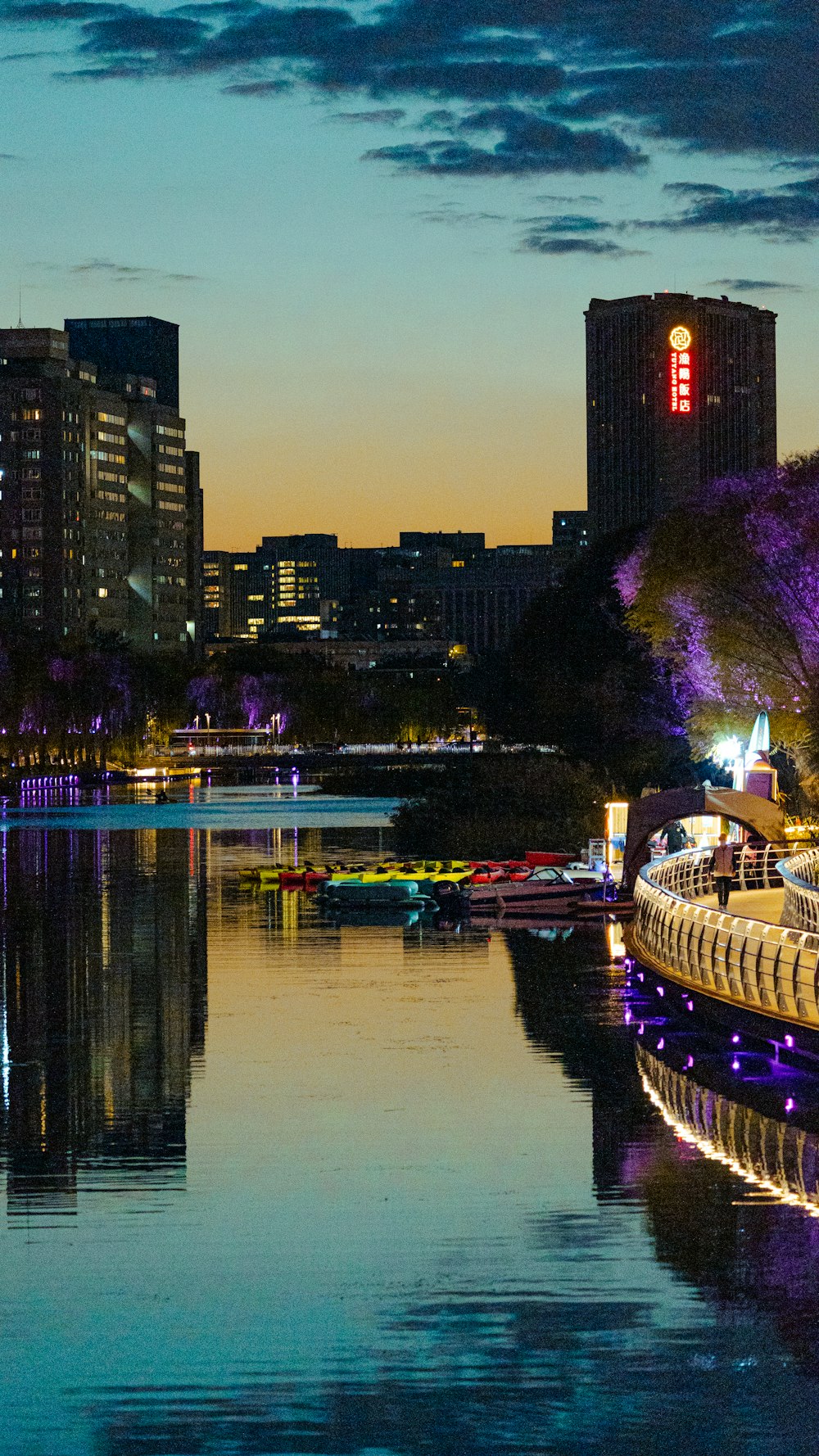 a view of a river with a city in the background