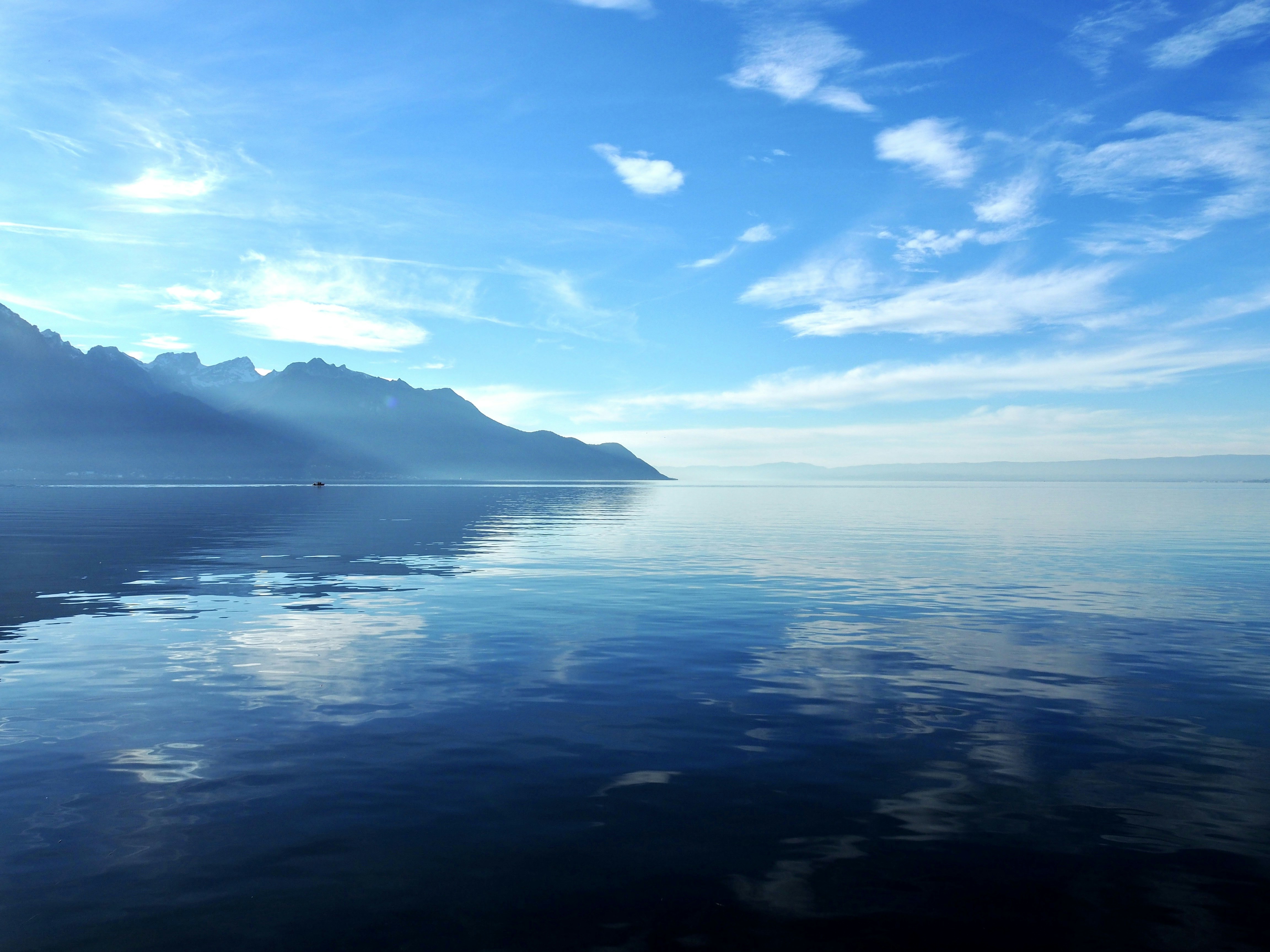 Photo by chocolate_chip